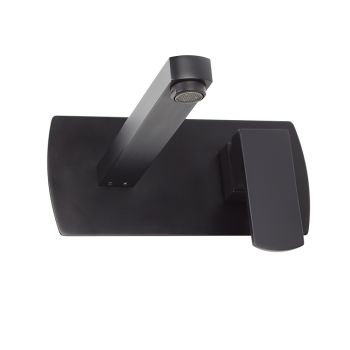 AGUZZO Terrus Wall Mounted Mixer and Spout - Matte Black