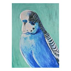 CAFE LIGHTING 'Blue Budgie' Enhanced Canvas Print